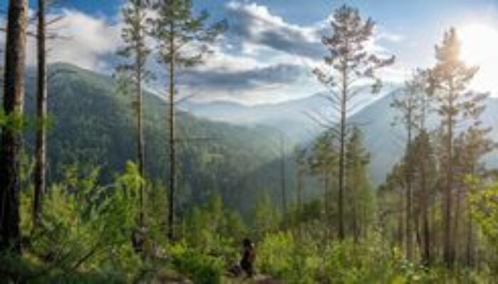 7 Wisata Alam Jogja Seru untuk Keluarga dan Petualang, Harga Terjangkau dan Hits 2025