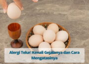 Alergi Telur – Gejala, Penyebab, dan Pengobatan