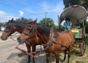 Top 12 Cowboy Core Towns in the US